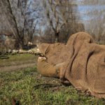 Camotec Маскувальний шарф-сітка SFVS Coyote 7022